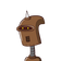 guest
