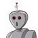 guest