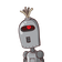 guest