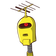 guest