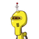 guest