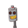 guest