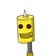guest