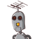 guest