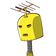guest