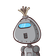 guest