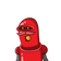 guest