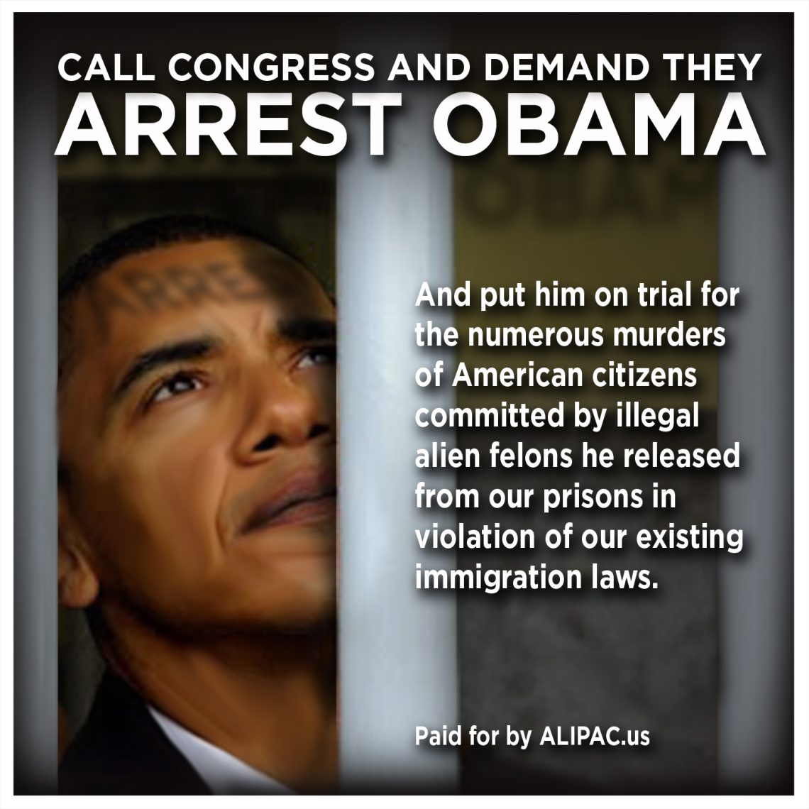 obama-illegal-alien