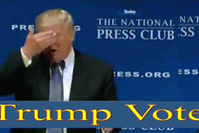 trump vote gif