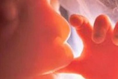 aborted-baby-fetus-photocredit-dailywire-com