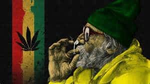 historical-lesson-on-medical-marijuana-and-cmd