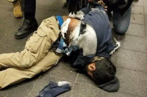 new-york-terror-attack-suspect-arrested-2017