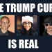 trump-curse-real