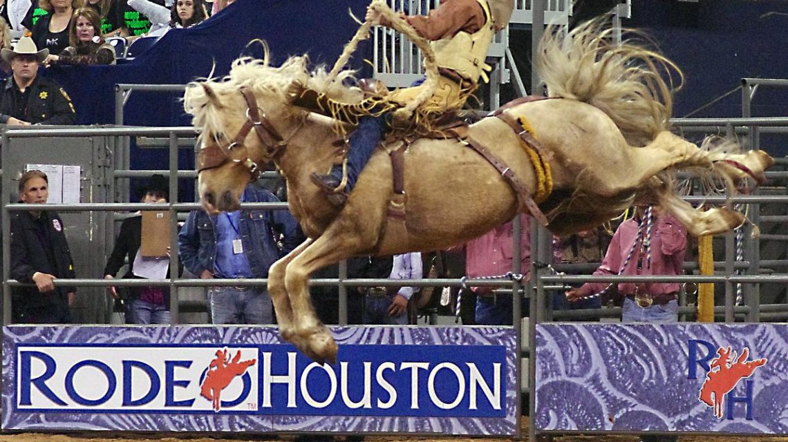 rodeo-houston-photocredit-bizjournals-com