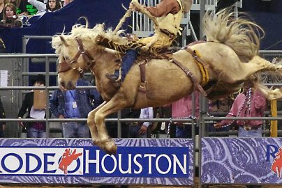 rodeo-houston-photocredit-bizjournals-com