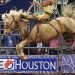 rodeo-houston-photocredit-bizjournals-com