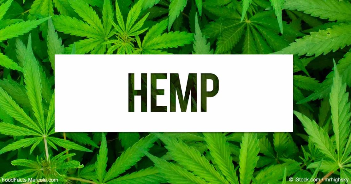 hemp-photocredit-foodfacts-mecola-com