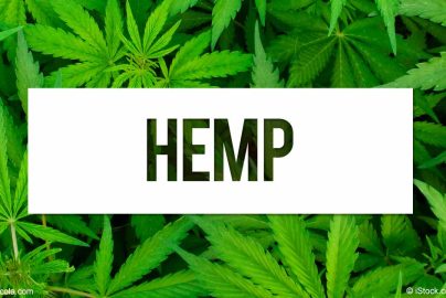 hemp-photocredit-foodfacts-mecola-com