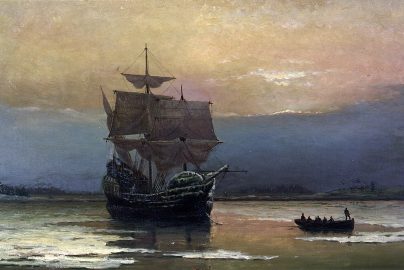 mayflower-en-wikipedia-org