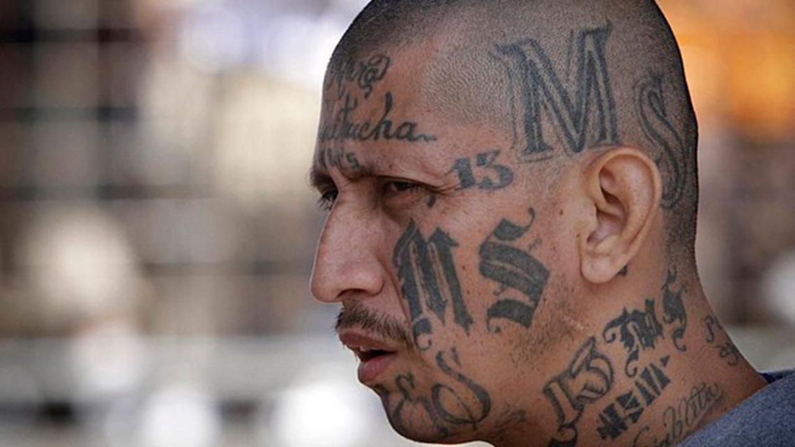 ms13-gang-bangers-foxnews-com