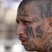 ms13-gang-bangers-foxnews-com