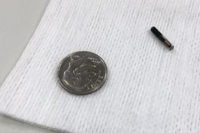 rfid chip Jeff Baenen, AP