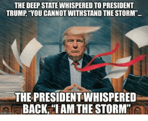 trump-deep-state-storm
