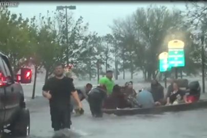 cajun-navy