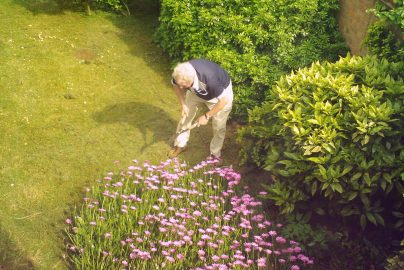 garden-paradise-en-wikipedia-org