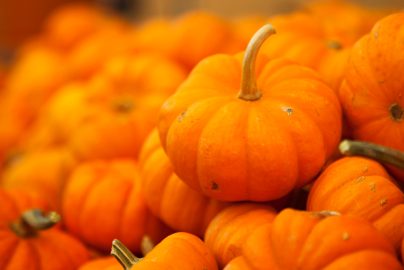 halloween-pumpkins-jellytelly-com