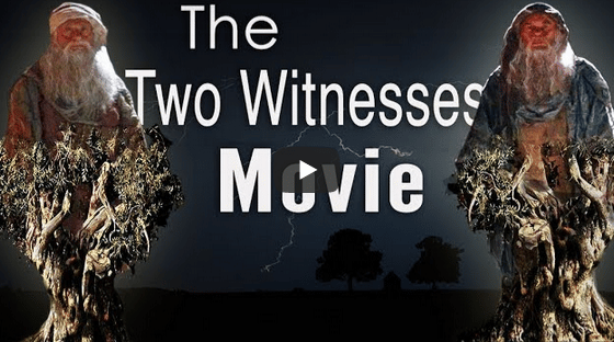 Screenshot - 11_30_2018 , 4_51_32 AM two witnesses