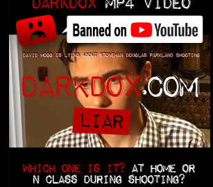 Screenshot - 11_3_2018 , 2_00_34 PM darkdox hogg liar