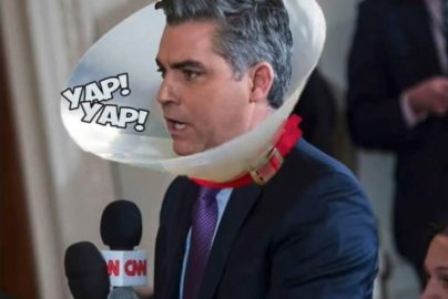 fake-news-cnn-jim-acosta-thepubliceditor-com