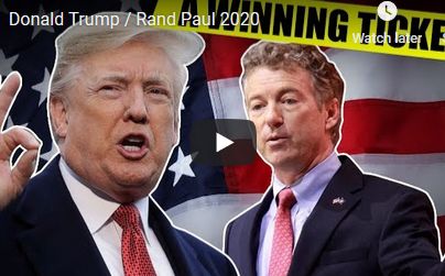 Screenshot - 12_31_2018 , 9_40_17 AM trump paul 2020 ticket image