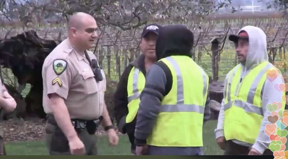 busted-immigrants-nancy-pelosis-property-twitter-laura-loomer