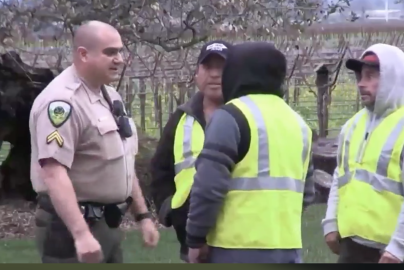 busted-immigrants-nancy-pelosis-property-twitter-laura-loomer