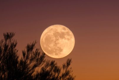 super blood wolf moon - Photo by Ganapathy Kumar on Unsplash - charisma mag