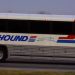 greyhound-bus-nbcsandiego-com