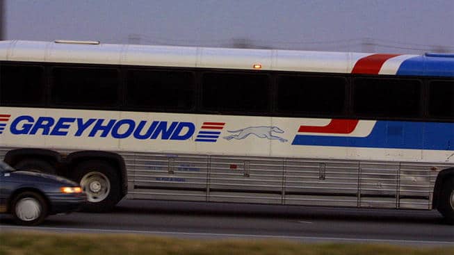 greyhound-bus-nbcsandiego-com