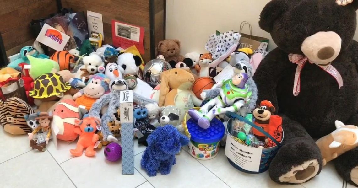 landen-hoffman-moa-stuffed-animal-toys-gossiponthis-com