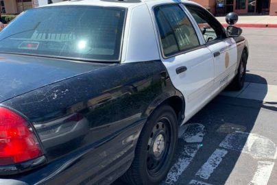 paloma for trump cops post office