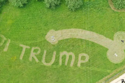 penis trump lawn image - screenshot