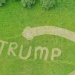 penis trump lawn image - screenshot