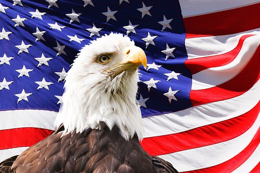 patriotic-eagle-flag-4thjuly-pixabay-com
