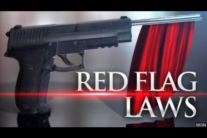 red-flag-gun-control-law-youtube-com-ss