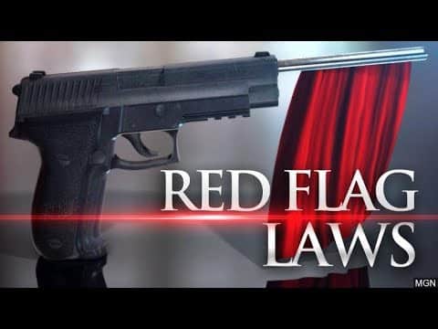 red-flag-gun-control-law-youtube-com-ss