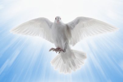 holy-spirit-dove-aletiea-org
