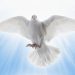 holy-spirit-dove-aletiea-org