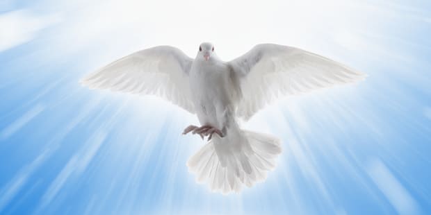 holy-spirit-dove-aletiea-org