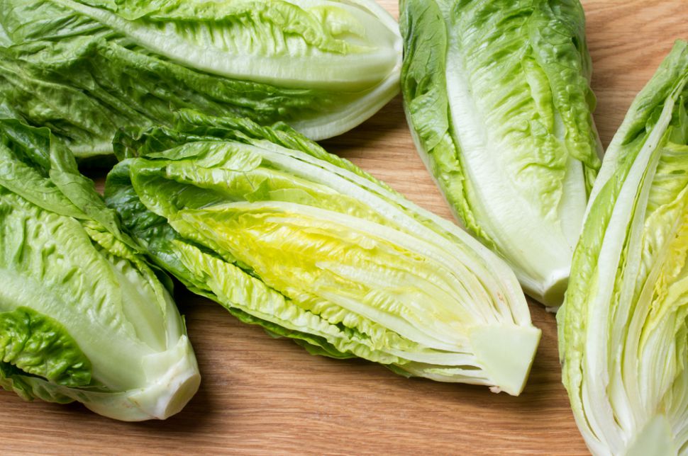 romaine-lettuce-shutterstock